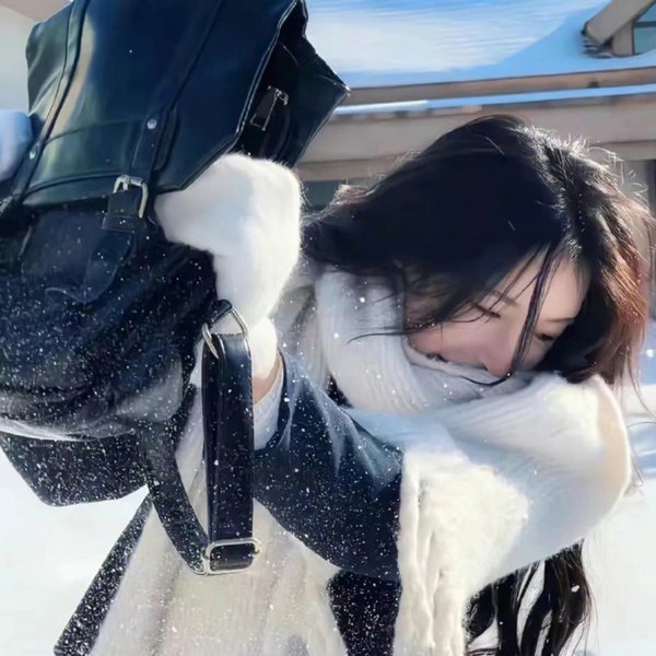 蝙蝠侠：势不两立